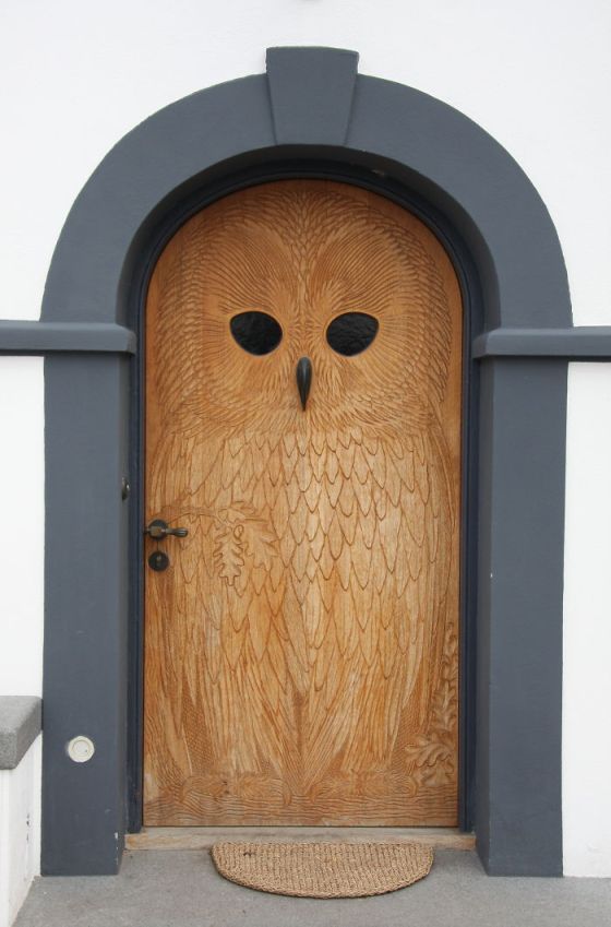 Bored Panda owl door